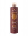 Sampon revitalizare culoare par saten, 200ml – Hyalurvedic Gyada